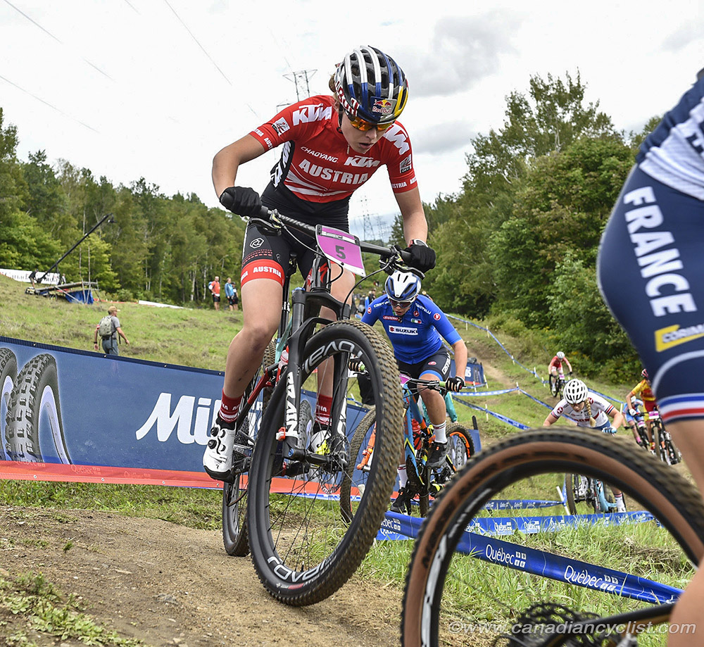 World MTB Championships, 2019