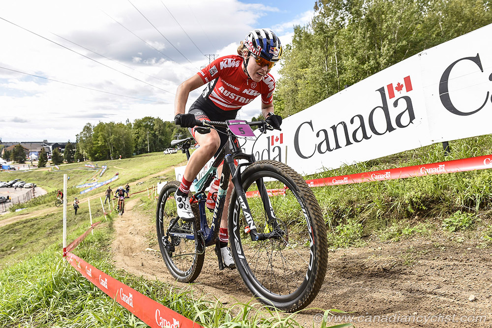 World MTB Championships, 2019