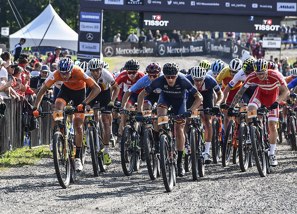 World MTB Championships, 2019