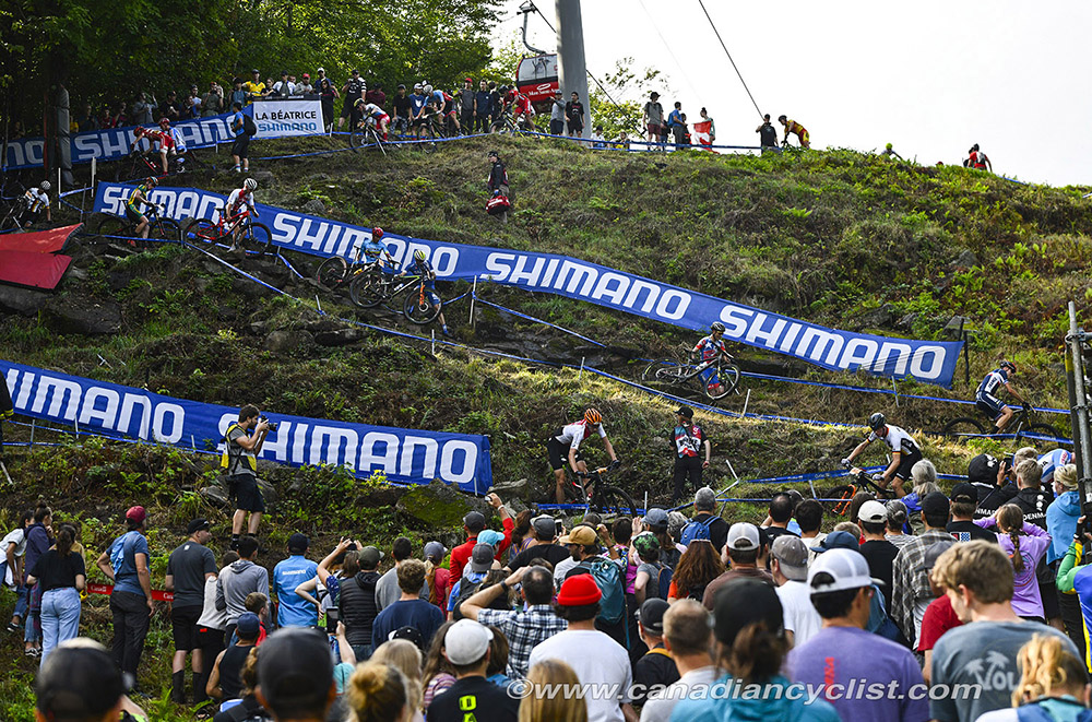 World MTB Championships, 2019