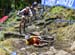 World MTB Championships, 2019