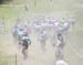 World MTB Championships, 2019