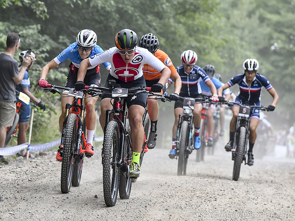 World MTB Championships, 2019