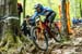 Maribor DH World Cup