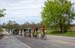 Steve Bauer Classic - Ontario Provincial Road Race Championships