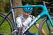 Steve Bauer Classic - Ontario Provincial Road Race Championships