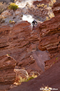 2019 Red Bull Rampage