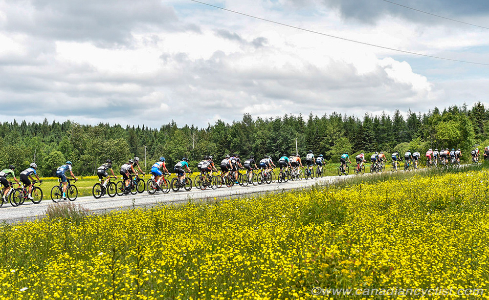 Road National Championships, 2019