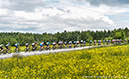 Road National Championships, 2019