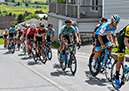 Road National Championships, 2019
