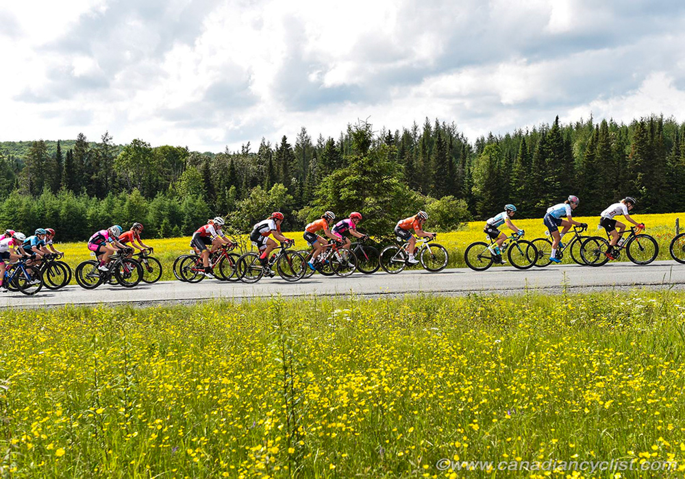 Road National Championships, 2019