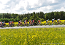 Road National Championships, 2019