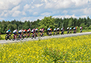 Road National Championships, 2019