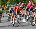 Road National Championships, 2019