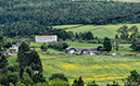Road National Championships, 2019