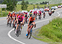 Road National Championships, 2019