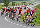 Road National Championships, 2019