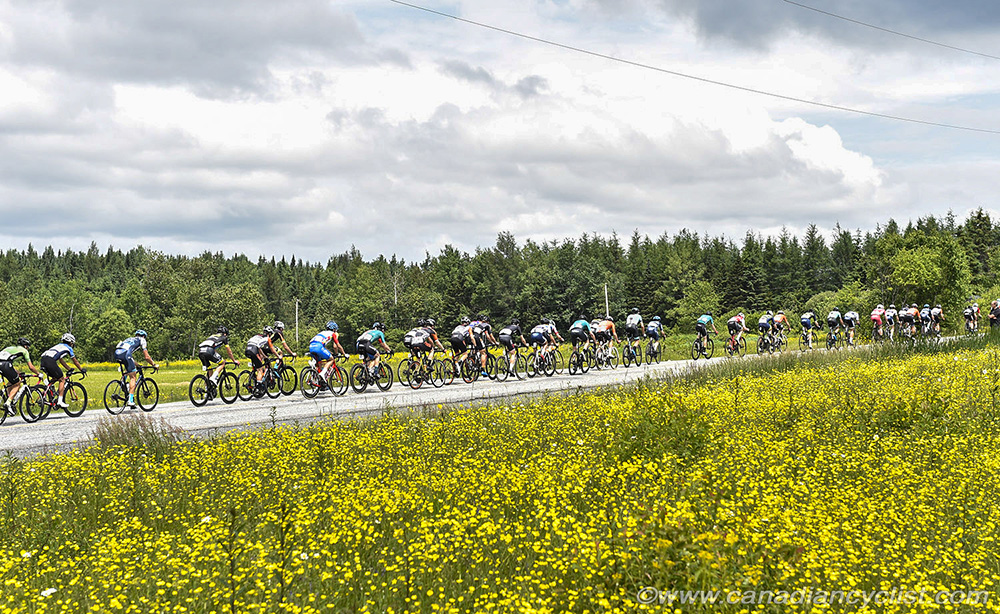Road National Championships, 2019
