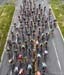 Road National Championships, 2019