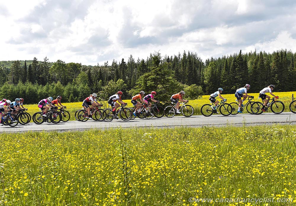 Road National Championships, 2019