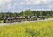 Road National Championships, 2019