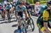 Road National Championships, 2019