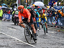 2019 Road World Championships