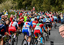 2019 Road World Championships