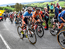 2019 Road World Championships
