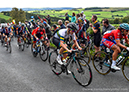 2019 Road World Championships