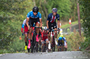 2019 UCI Road World Championships