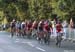 2019 Road World Championships