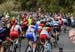 2019 Road World Championships