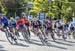 2019 Road World Championships