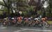 2019 Road World Championships