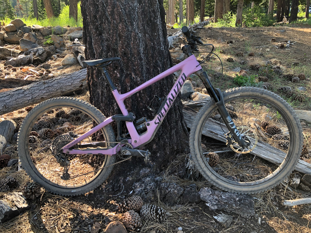 2020 Specialized Enduro
