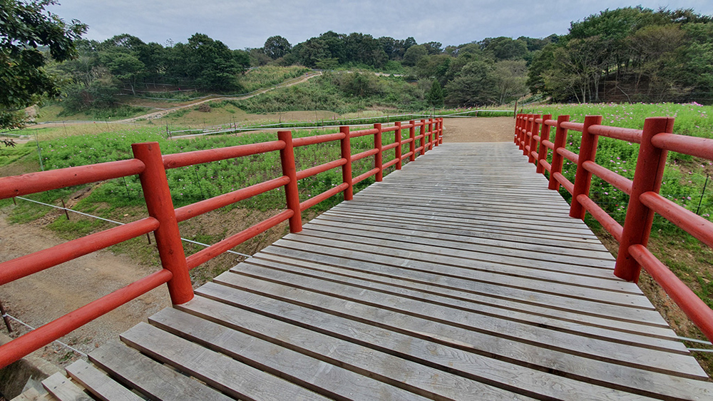 Tokyo XCO Track Walk