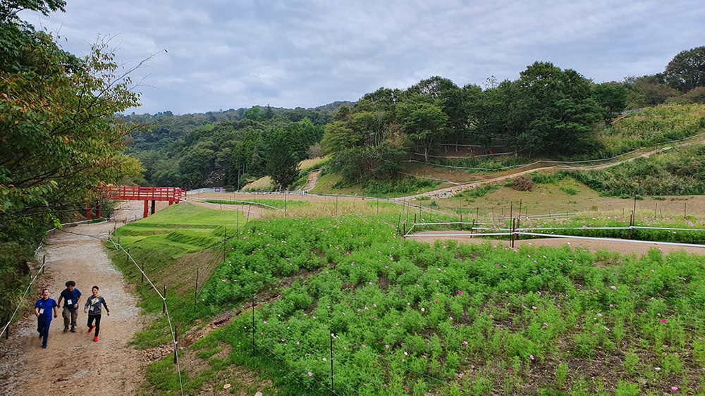 Tokyo XCO Track Walk