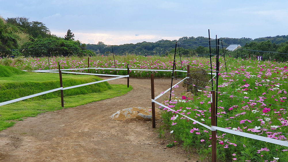 Tokyo XCO Track Walk