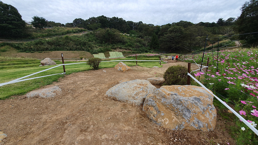Tokyo XCO Track Walk