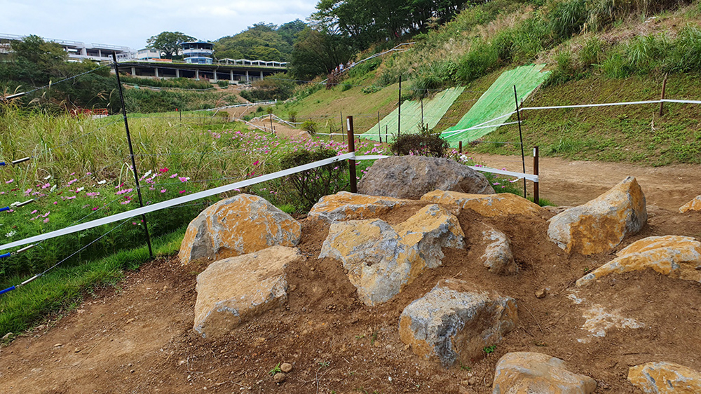 Tokyo XCO Track Walk