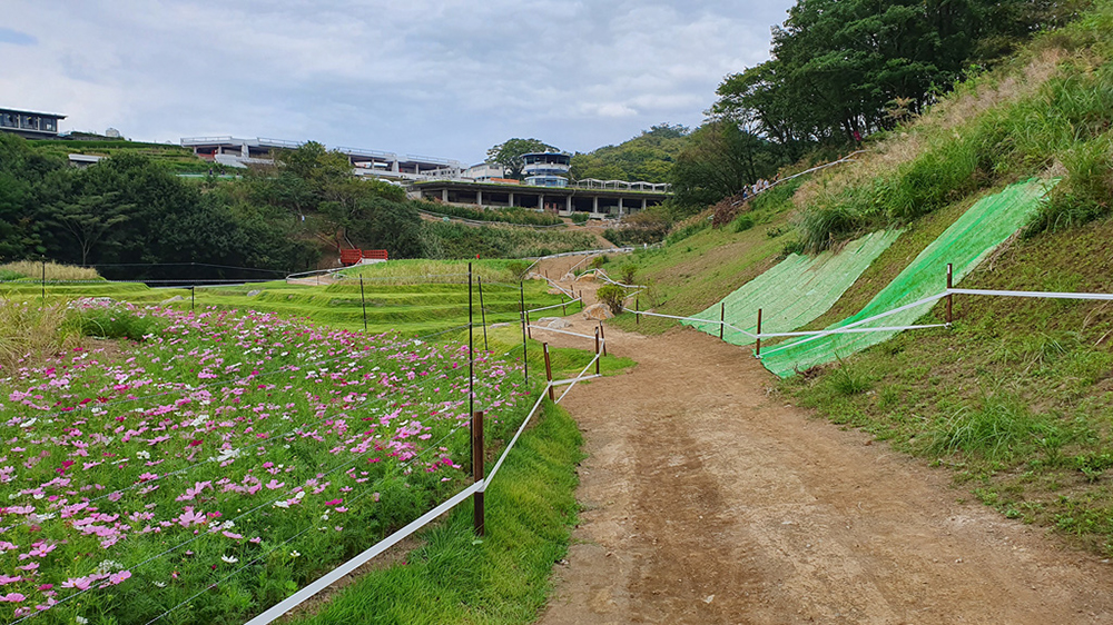 Tokyo XCO Track Walk