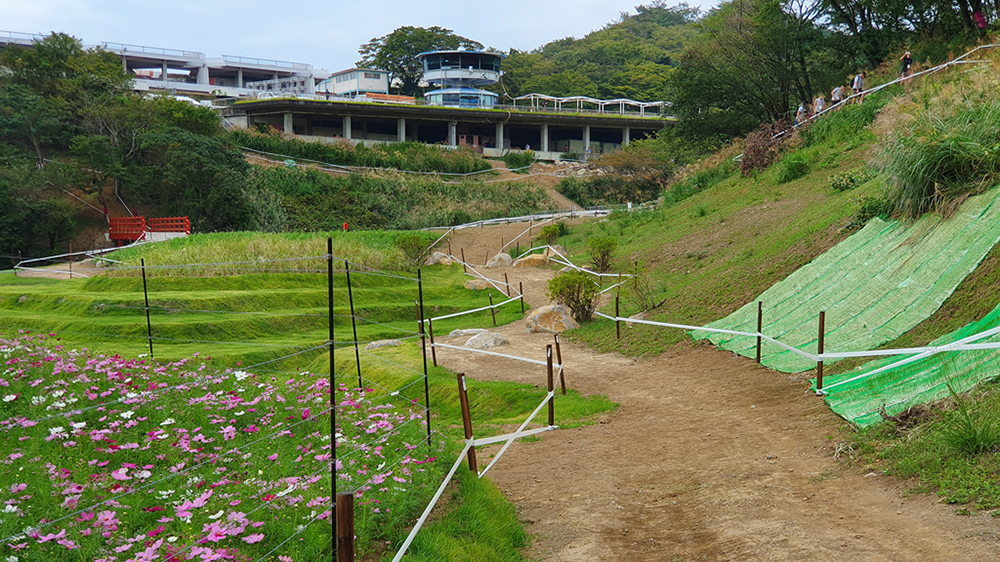 Tokyo XCO Track Walk