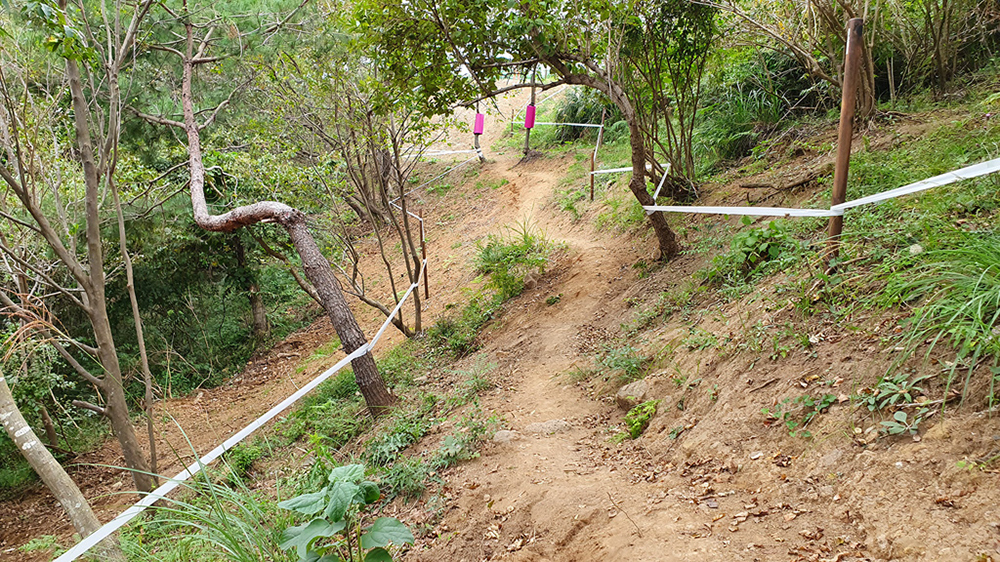Tokyo XCO Track Walk