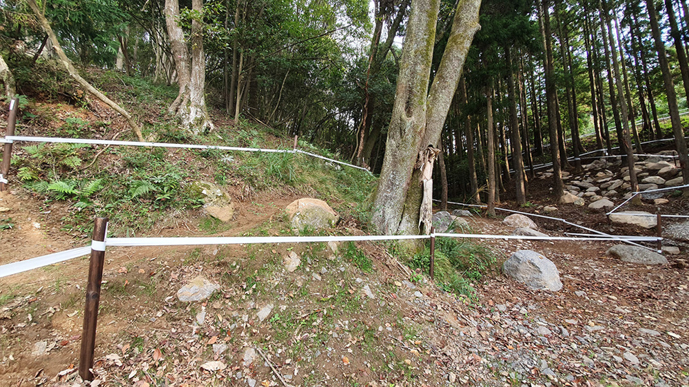 Tokyo XCO Track Walk