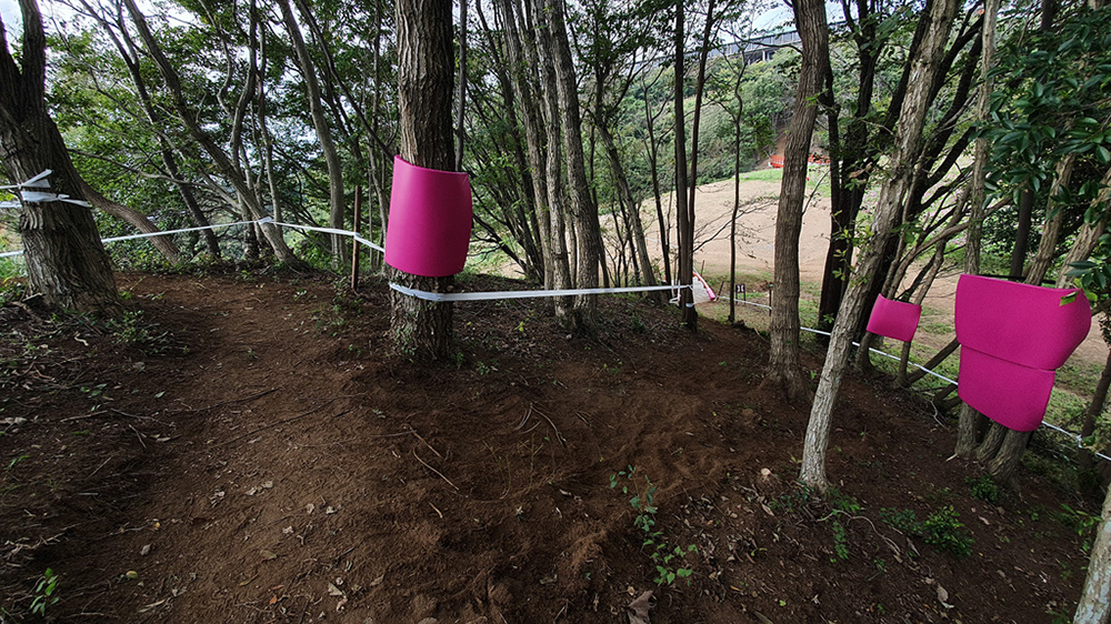 Tokyo XCO Track Walk