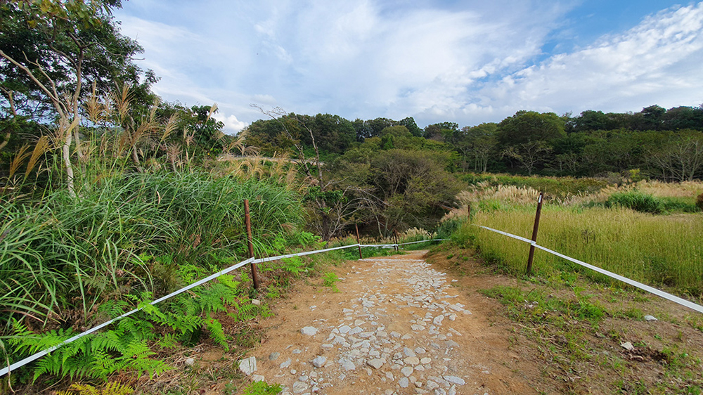 Tokyo XCO Track Walk