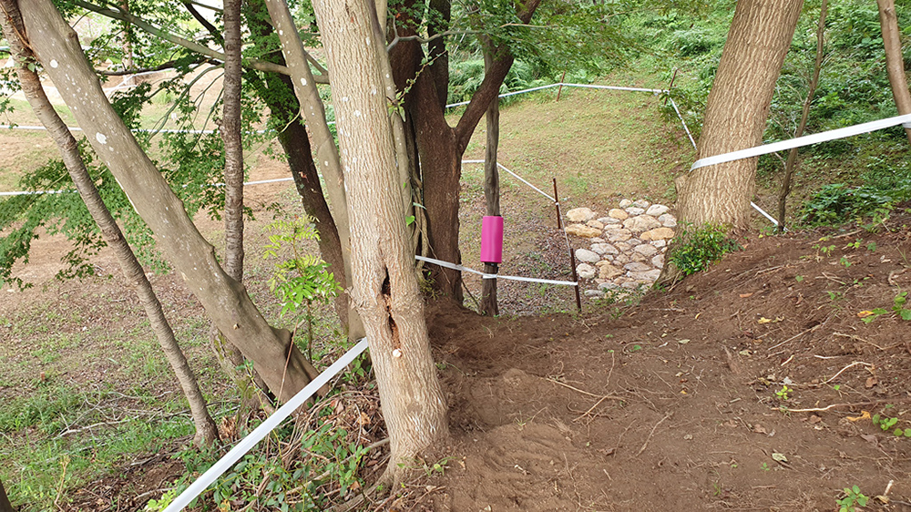 Tokyo XCO Track Walk