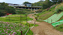 Tokyo XCO Track Walk