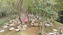 Tokyo XCO Track Walk